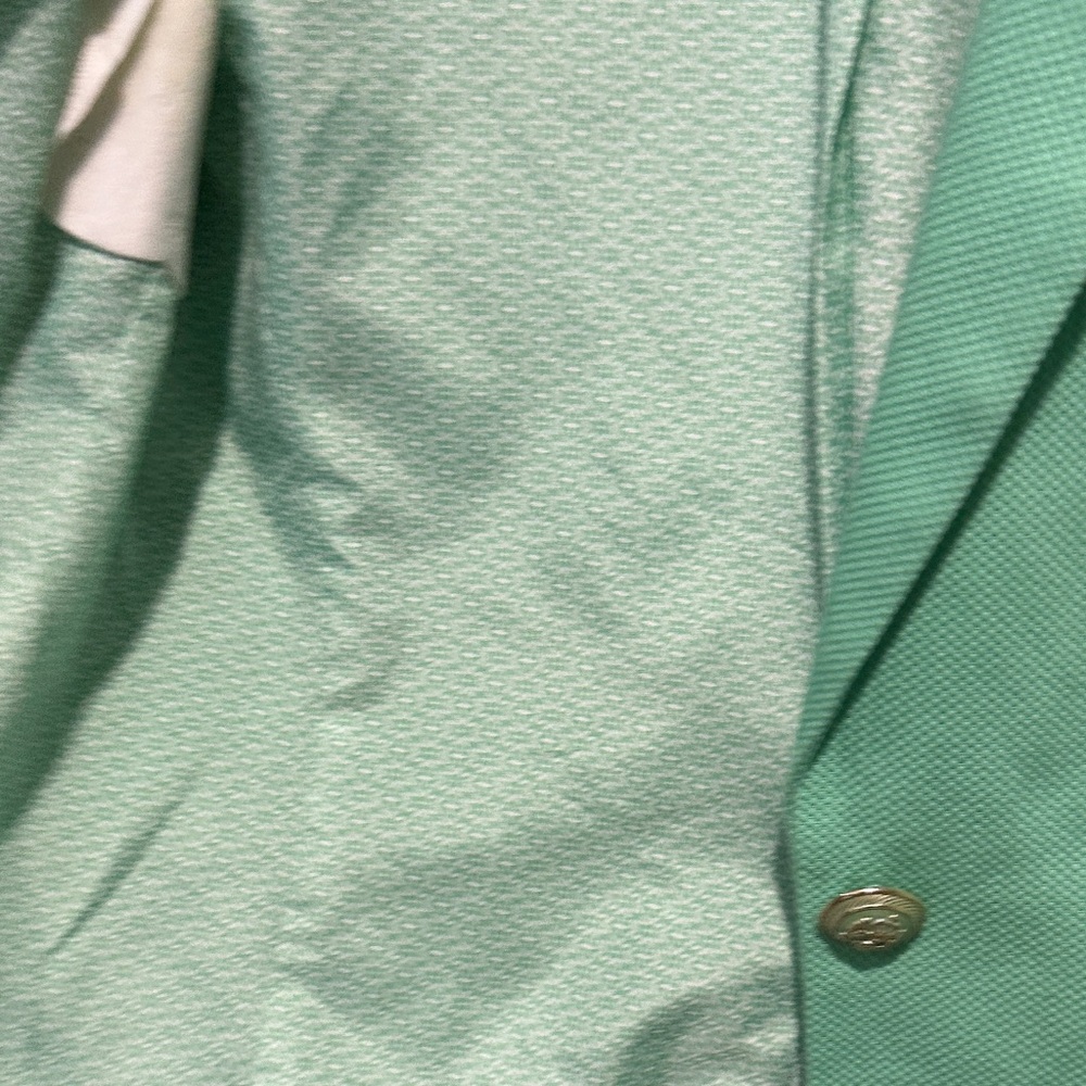 The Limited Mint Green EUC Blazer Lined Cropped Medium - Picture 8 of 10